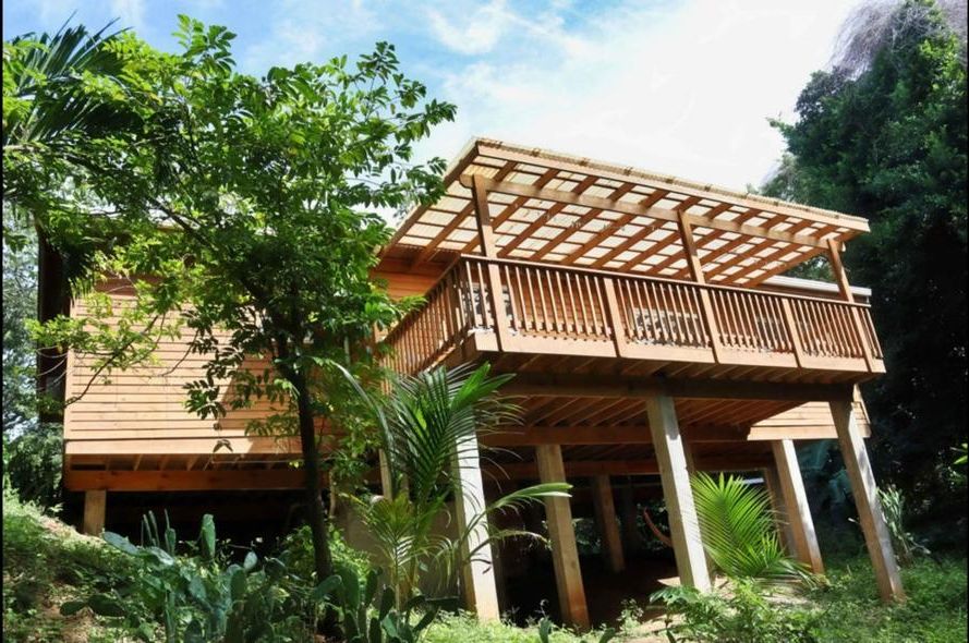 Elevated Jungle Home